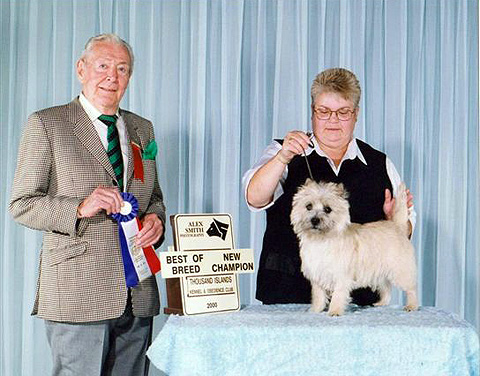 Ch. Cairnpit Queen of Tarts